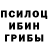 Галлюциногенные грибы GOLDEN TEACHER Krug J