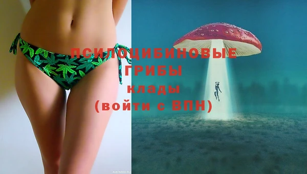 дурь Лагань