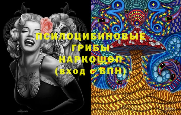 дурь Лагань