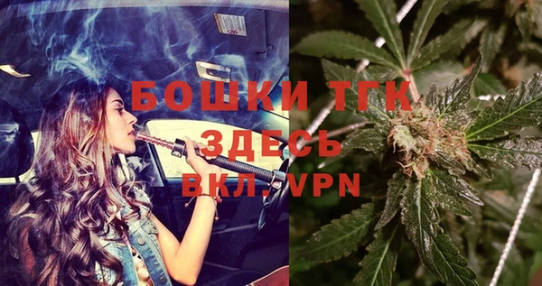 тгк Рославль