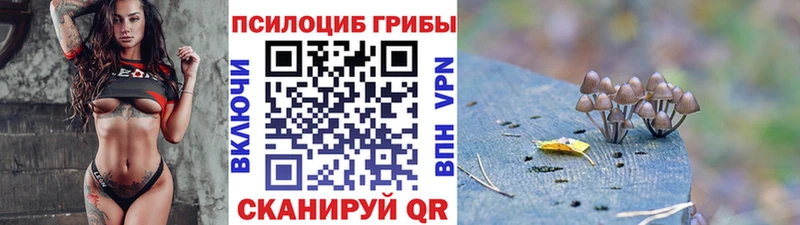 маркетплейс какой сайт  Мглин  Псилоцибиновые грибы GOLDEN TEACHER  купить  сайты 